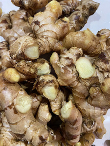 Gingembre mûr de haute qualité du Vietnam gingembre séché et frais biologique pour l'approvisionnement en gros - Product Image 2