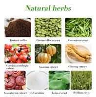 Café Instantané Minceur Naturel Premium – Poudre Substitut de Repas pour le Contrôle du Poids – Café Vert Minceur pour Régime