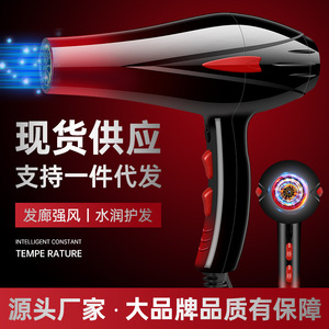 Hair Dryer High Power Dc Motor 110V European Standard Round Plug Quick Drying For Hotel Export - Product Image 5