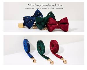 Ensemble de laisse personnalisée Veet pour chatons, laisse à motif uni, étiquette dorée gravée, collier en velours fait main pour chat et chiot - Product Image 2