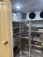 Chambre froide industrielle pour le stockage de jus et de sirop, température 0-5°C ℃   Chambre à basse température CE ISO Walk-in