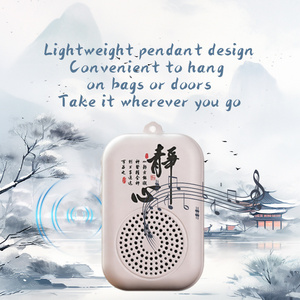 Sen Xuan L15 Haut-parleur Lecteur Cassette Portable Enregistreur Boombox Lecteur MP3 - Product Image 3