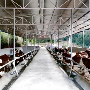 Bâtiment de ferme avicole préfabriqué en structure métallique - Product Image 1