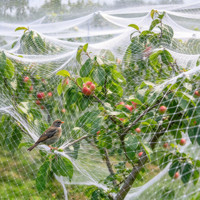 Filet de protection robuste en rouleau pour volailles, idéal pour la volière, les jardins potagers, les rizières, les entrepôts, les balcons et les patios.