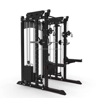 Máquina de poleas con contrapeso para uso comercial - Modelo de acero al carbono con pila de pesas de 90KG/120KG (opcional) 2:1