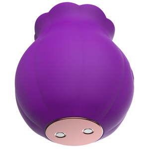 Caja Personalizada Gratis - Juguete Sexual para Mujeres Adultas, Vibrador Multifuncional para Clítoris, Estimulador de Pezón con Forma de Rosa que Simula Lamidas de Lengua y Punto G - Product Image 6