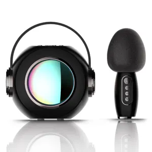 Draagbare Set Bluetooth Microfoon Voor Kinderen Draadloze Karaoke-Machine Met Draagbare Oplaadbare Luidspreker