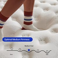 Matelas Mémoire de Forme Haute Densité Luxe Confort 5 Étoiles, Taille Simple Supérieur, Meubles de Chambre et Ensemble de Literie (Colchones)