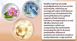 Kit profesional para el cuidado del cabello para el cabello dañado Cuidado del color del cabello orgánico natural Acondicionador y champú de remedio intenso - Product Image 5