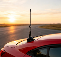 Antenne de voiture magnétique à ressort spiralé 3dBi à gain élevé omnidirectionnelle 2.4G WiFi à fixation magnétique
