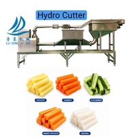 Industriële Hydro Cutter aardappel friet snijmachine 3-10T/H voor het snijden van groente- en fruitreepjes