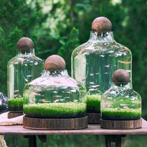 Aquarium en verre japonais transparent épaissi en bois plateau fond hydroponique grande bouteille vase en verre - Product Image 1