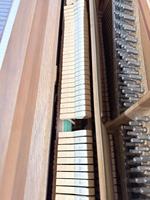 Used Samick Sm--900 131cm Colored Upright Piano, Professional Grade