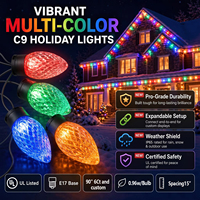Guirlande lumineuse de Noël extérieure Ismart C9, 50 LED, IP65, ampoules en forme de fraise, connectable, bobine pour terrasse, fête, décoration de vacances