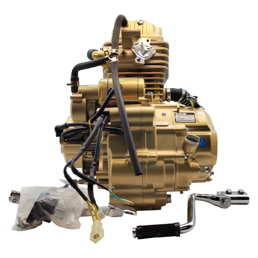 Zongshen ZS167MM 250cc Water Cooled Engine for Motorcycles