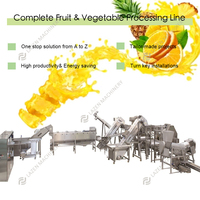 Goedkope Mango Ananas Sinaasappel Citroensap Pulp Maken Verwerkingsmachine Productie-Installatie