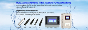 Sistema de Monitoreo de agua de acuicultura personalizado, analizador de agua multiparámetros PLC PH/TDS/COD/<span class=keywords><strong>NH4</strong></span> +/<span class=keywords><strong>no3</strong></span>-rs485 - Product Image 3
