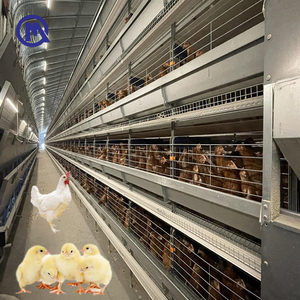 Nueva Jaula para Gallinas Ponedoras Tipo H, Jaula para Aves <span class=keywords><strong>de</strong></span> Corral para Guinea - Product Image 1