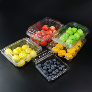 Barquette à fruits pliable écologique avec couvercle à charnière, boîte d'emballage transparente jetable pour fruits frais coupés, emballage alimentaire pour sandwichs - Product Image 6