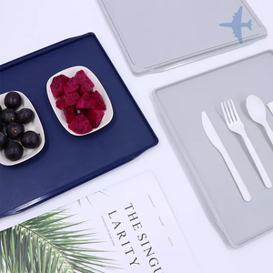 Muestras gratuitas personalizadas de fábrica, bandejas desechables para comida de aerolíneas, bandeja de vuelo, bandeja de plástico para aerolíneas - Product Image 4