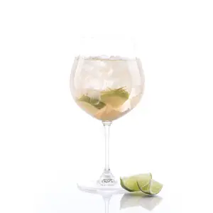 Customized High Quality Wine Glass Goblet Gin Tonic Glasses Gin Drinking Glass Logo Copa Glass for Gin