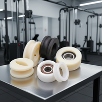 Poulie en nylon PA66 robuste 2026 avec roulement pour équipement de fitness, silencieuse, résistante à l'usure, fabricant sur mesure