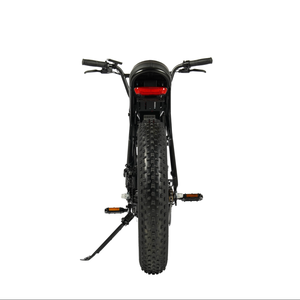 Bicicleta Eléctrica de Montaña con Neumáticos Gruesos de 20 Pulgadas, 750W, Todoterreno, con Doble Freno de Disco, Disponible en EE. UU. - Product Image 4