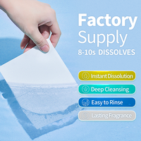 Échantillon Gratuit – Feuilles de Lessive Hypoallergéniques Jetables Personnalisées à Faible Formation de Mousse, Écologiques, Nettoyage en Profondeur – Très Efficaces