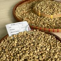 Robusta Biologische Groene Koffiebonen 100 Procent Puur Voor Het Roosteren En Drinken Van Hoge Kwaliteit Vietnam Arabica