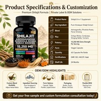 Capsules de Shilajit 60 comprimés Extrait de résine himalayenne pure Stimulant énergétique pour hommes et femmes OEM Étiquette privée