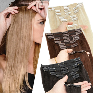 Complete Clip-In Hair Extension Starter Kit