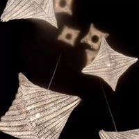 Arturo Alvarez Lea, lampe suspendue en acier inoxydable minimaliste nordique, style ligne de pêche, pour restaurant, bar, chambre à coucher, éclairage LED, ambiance