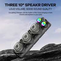 Altavoz OEM Doble de 10 Pulgadas para Cine en Casa y Fiestas al Aire Libre con Luces LED RGB, Bajos Potentes, Sistema de Sonido Portátil para Karaoke