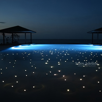 La source lumineuse de la fibre optique 80W a mené le moteur léger imperméable de fibre optique pour la lumière de piscine de fibre optique de natation
