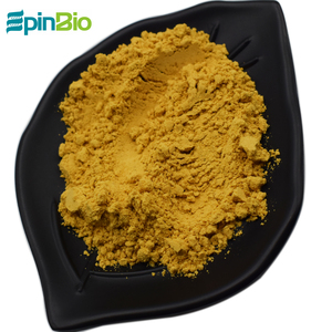 Bán buôn Chất lượng cao chiết xuất gừng 20% <span class=keywords><strong>hplc</strong></span> gingerols bột - Product Image 1