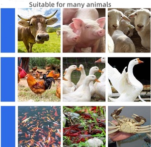 Machine à granulés d'aliments pour poulets Petite machine domestique élevage canard poisson <span class=keywords><strong>lapin</strong></span> bovin porc bétail machine à granulés <span class=keywords><strong>maison</strong></span> - Product Image 5