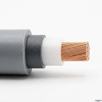 Cable de Alimentación Flexible Resistente al Fuego Cu/XLPE/PVC de 4 Núcleos, 0.6/1kV, Cable Eléctrico de Cobre con Aislamiento XLPE Ignífugo