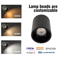 Projecteur monté en surface étanche IP65 vente en gros Spot lampe 10W 15W 20W 30W 40W 60W LED de plafond COB Downlight