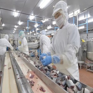 Línea de Producción de <span class=keywords><strong>Sardinas</strong></span> Enlatadas en Aceite, Equipo de Procesamiento y Enlatado de Atún y <span class=keywords><strong>Sardinas</strong></span> - Product Image 3