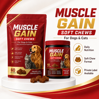OEM ODM Suplemen Nutrisi Harian Multivitamin Kunyah Lembut untuk Peningkatan Otot Anjing, Kesehatan Pencernaan & Sendi - Produsen