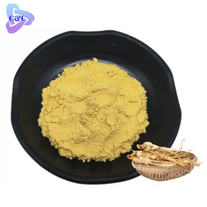 Chất lượng cao Panax Ginseng gốc bột 5%-80% ginsenosides CAS 90045 ginsenosides chiết xuất nhân sâm bột - Product Image 2
