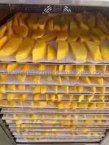 肉魚ヒートポンプ乾燥機ソーラードライヤー果物用ヒートポンプ乾燥機 - Product Image 2