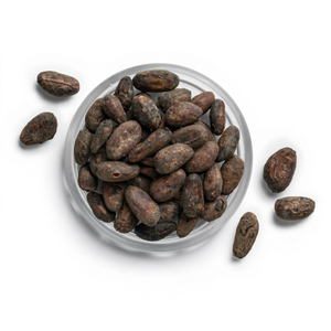 Fèves de cacao crues séchées au soleil de haute qualité, marque personnalisée allemande, fournisseurs et fabricants fiables, vente en gros, durée de conservation de 2 ans - Product Image 1