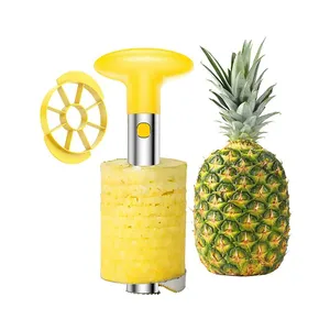Groothandel Keuken Tool Rvs Fruit Ananas Dunschiller Corer Cutter Ananas Kern Remover Tool