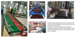 เครื่องแยกเมล็ดเชอร์รี่อัตโนมัติรุ่นใหม่ล่าสุด ขายส่ง - Product Image 2