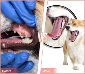 <span class=keywords><strong>Jouet</strong></span> à mâcher pour chien en caoutchouc non toxique en forme de sabot, couineur, pour petites/moyennes races - <span class=keywords><strong>Jouet</strong></span> <span class=keywords><strong>interactif</strong></span> pour la dentition, durable et résistant aux morsures - Product Image 4