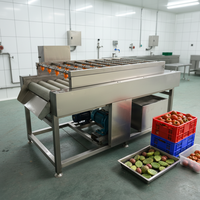 Fabrieks prijs machine voor het verwijderen van dornen van cactusvijgen, machine voor het wassen en reinigen van cactusvijgen, machine voor het ontdoornen van nopalvruchten