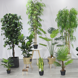 Árbol Artificial Nuevo, Planta Artificial, Árbol Artificial de Schefflera <span class=keywords><strong>Arboricola</strong></span> con Maceta Decorativa, Venta al por Mayor de Fábrica China - Product Image 5