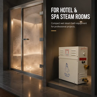 Sauna à vendre - Panneau de commande informatique moderne - Utilisation hôtelière - Générateur de vapeur humide en acier inoxydable 6 kW 9 kW 220 V pour salle de bain et sauna