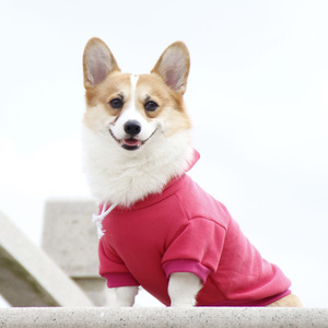 Sweat à capuche pour animaux de compagnie, couleur unie, petite taille, décontracté, pour chien Teacup, Pomeranian, Maltese, vêtements pour chiots, toutes saisons - Product Image 1